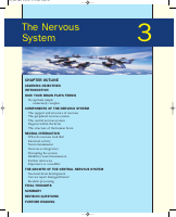 The nervous system.pdf